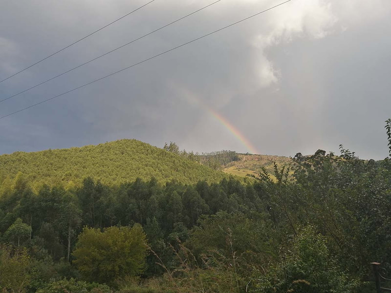 Standard Chalets at Sabie Star, Sabie, Mphumalanga.  Stunning forest view with rainbow.
