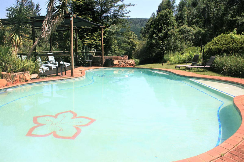 The pool with gardens view at Sabie Star Chalets in Sabie, Mpumalanga, South Africa.