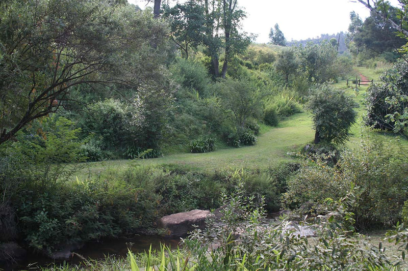 The river walk and gardens at Sabie Star Chalets in Sabie, Mpumalanga, South Africa.